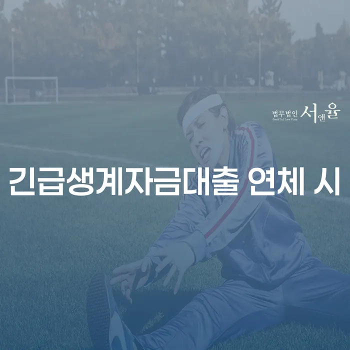 대출 연체 5일 채무조정제도을 이용하여 중요 포인트