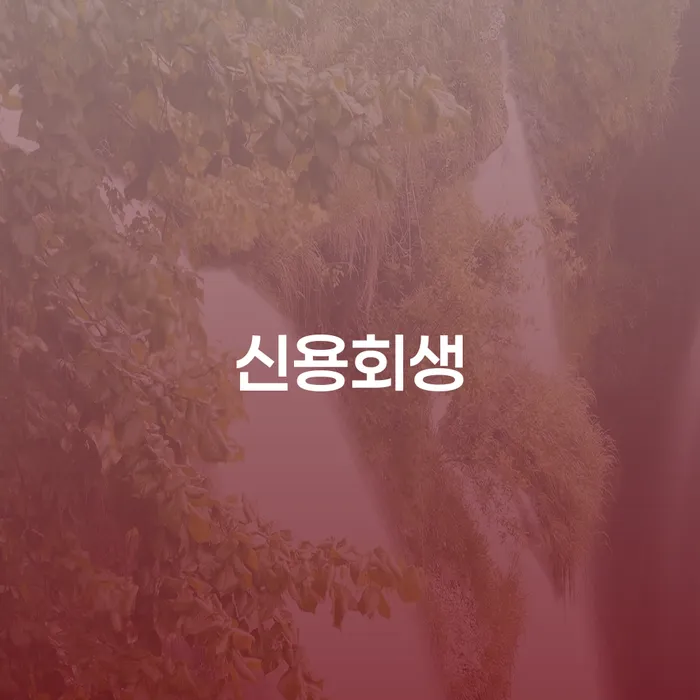 개인회생최근대출 개인회생으로 현명하게 추천하는 법무법인