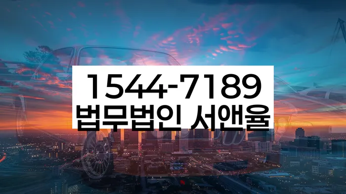 개인회생금지명령기각