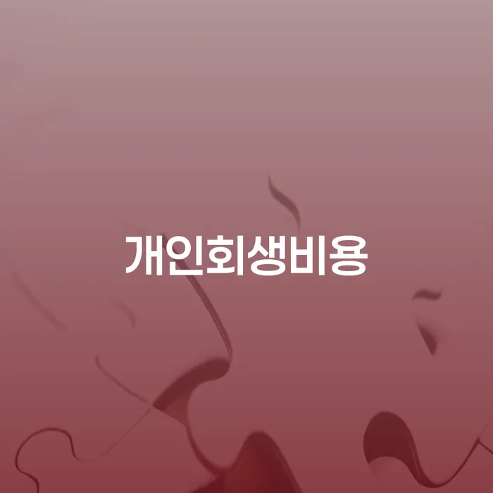 개인회생신청방법 빚독촉 확인 하고 진행