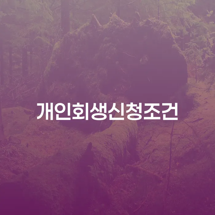 은평구 개인회생전문 개인회생 전략은 이렇게