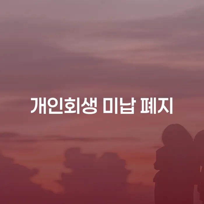 강진군 개인회생기각사유 개인파산 검토를 한 다음에는