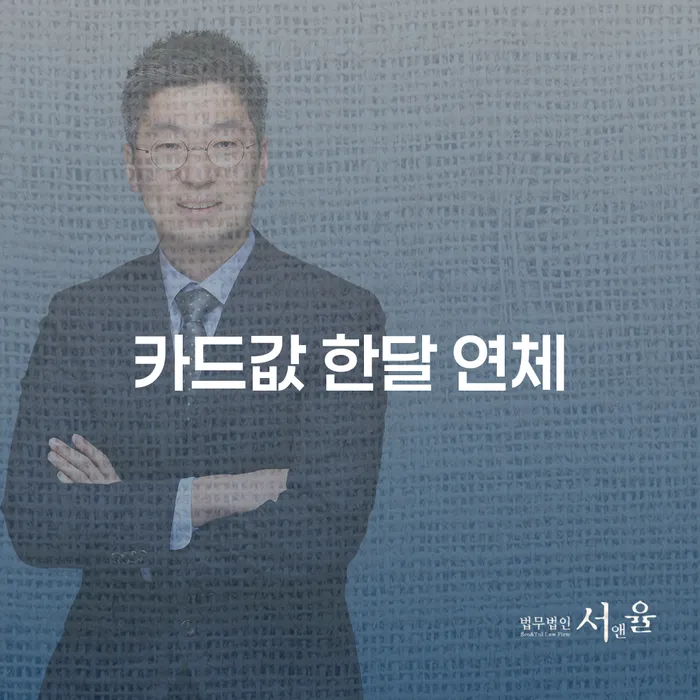 송파구 카드값 한달 연체 추심 대응법 관련정보