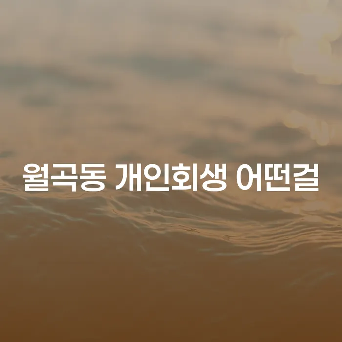 월곡동 개인회생 어떤걸