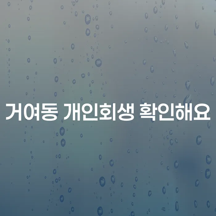 거여동 개인회생 확인해요