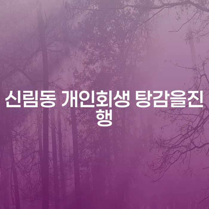 신림동 개인회생 탕감을진행