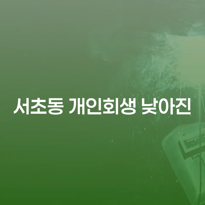 서초동 개인회생 낮아진