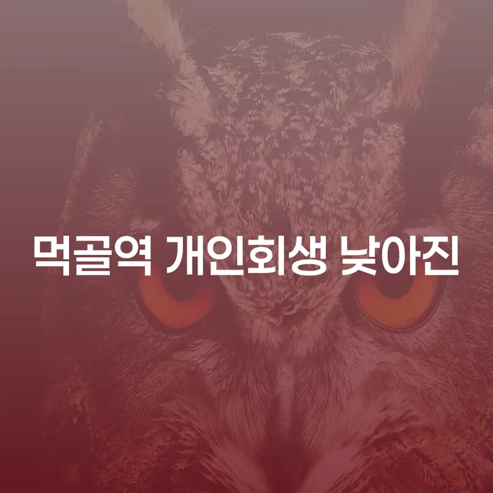 먹골역 개인회생 낮아진