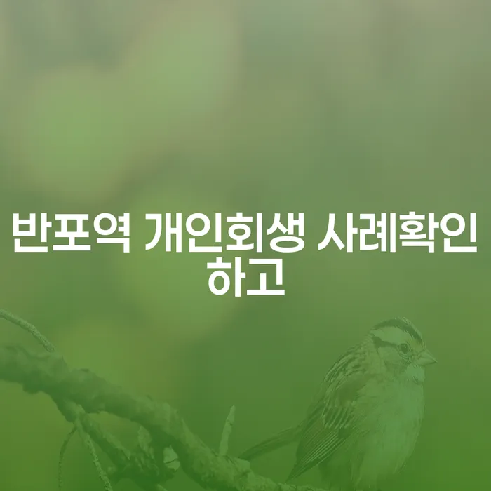 반포역 개인회생 사례확인하고