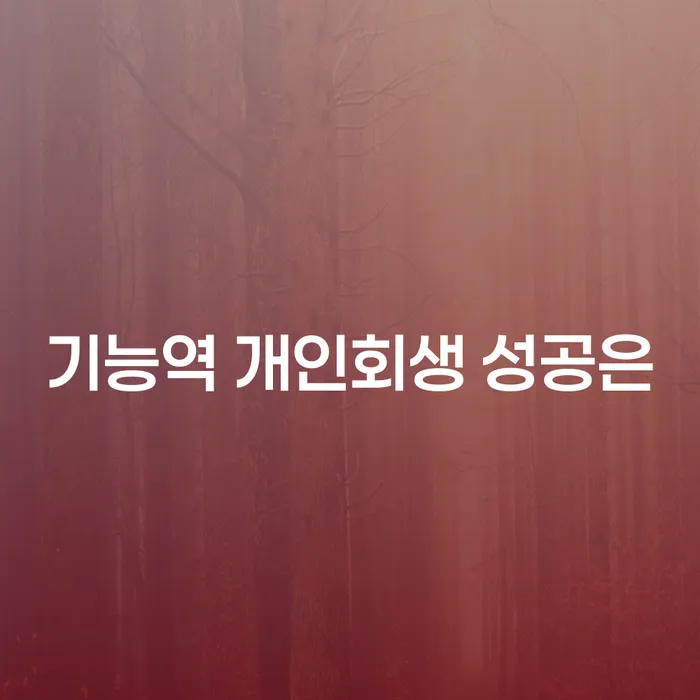 기능역 개인회생 성공은