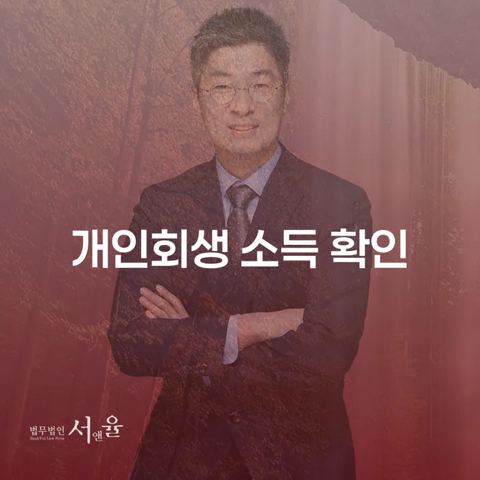 개인회생 소득 확인 과정에서 무엇을 알아야 할까요?