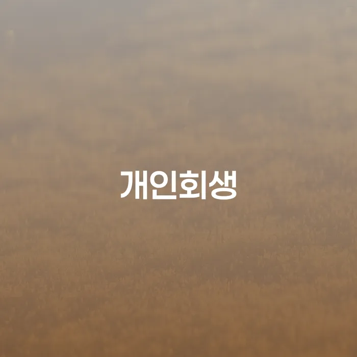 신사1동 개인회생 절차와 성공 사례로 알아보는 채무 해결 방법