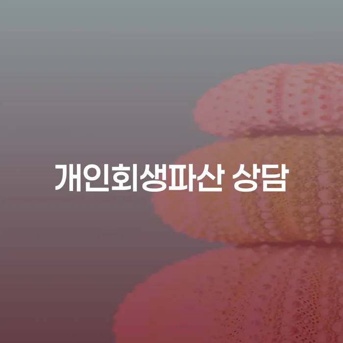 의령군 개인회생 파산 상담과 절차