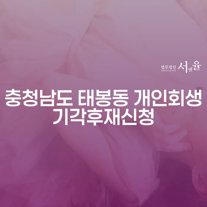 충청남도 태봉동에서 개인회생 기각 후 재신청이 가능할까?