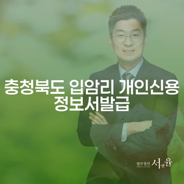 충청북도 입암리에서 개인신용정보서 발급받는 방법과 급여 380만원 개인회생 전략은 무엇인가요?