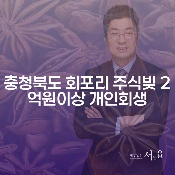 충청북도 회포리에서 주식빚 2억원 이상, 어떻게 개인회생을 해야 할까요?